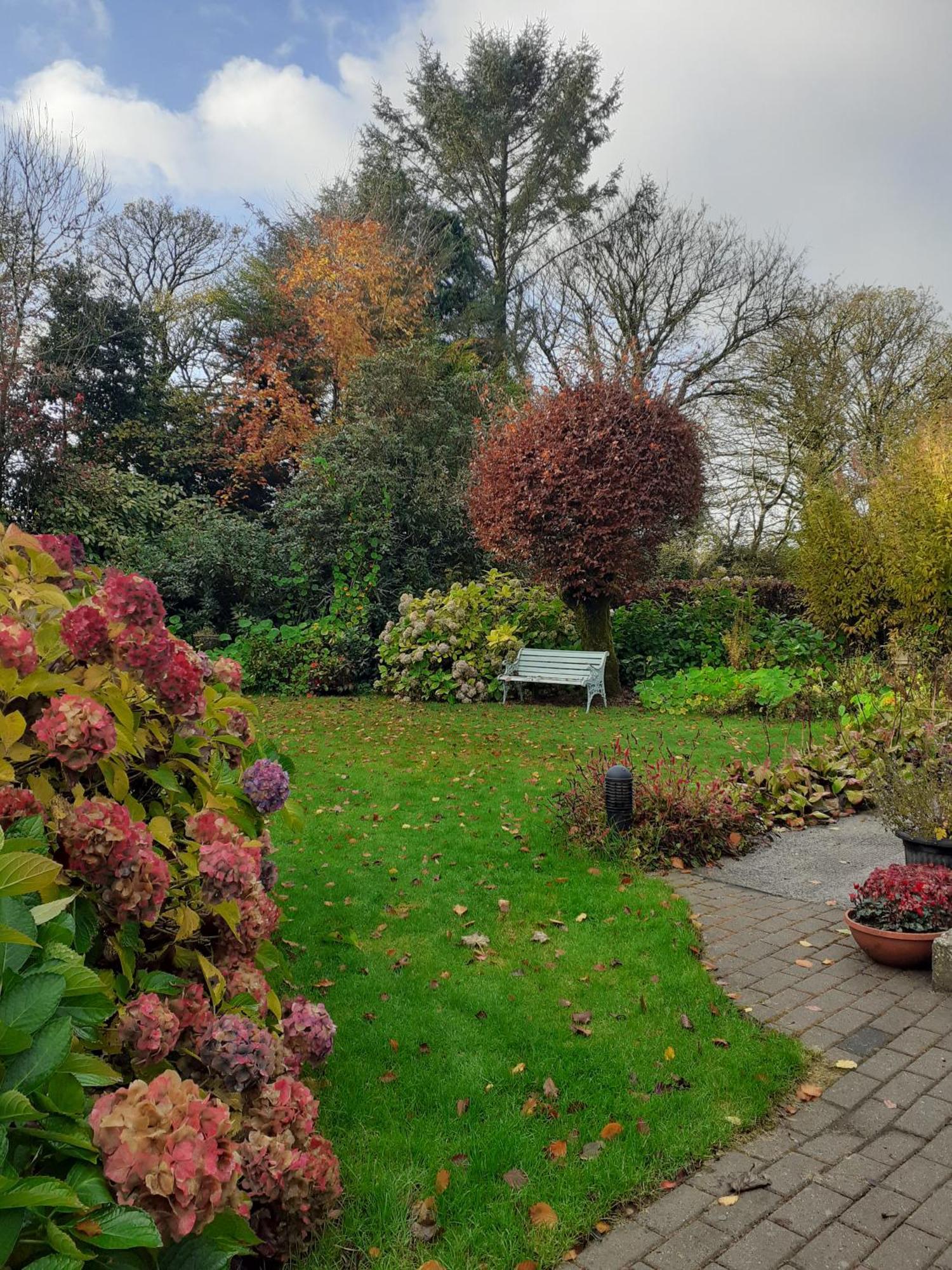 Conways B&B Claremorris Extérieur photo